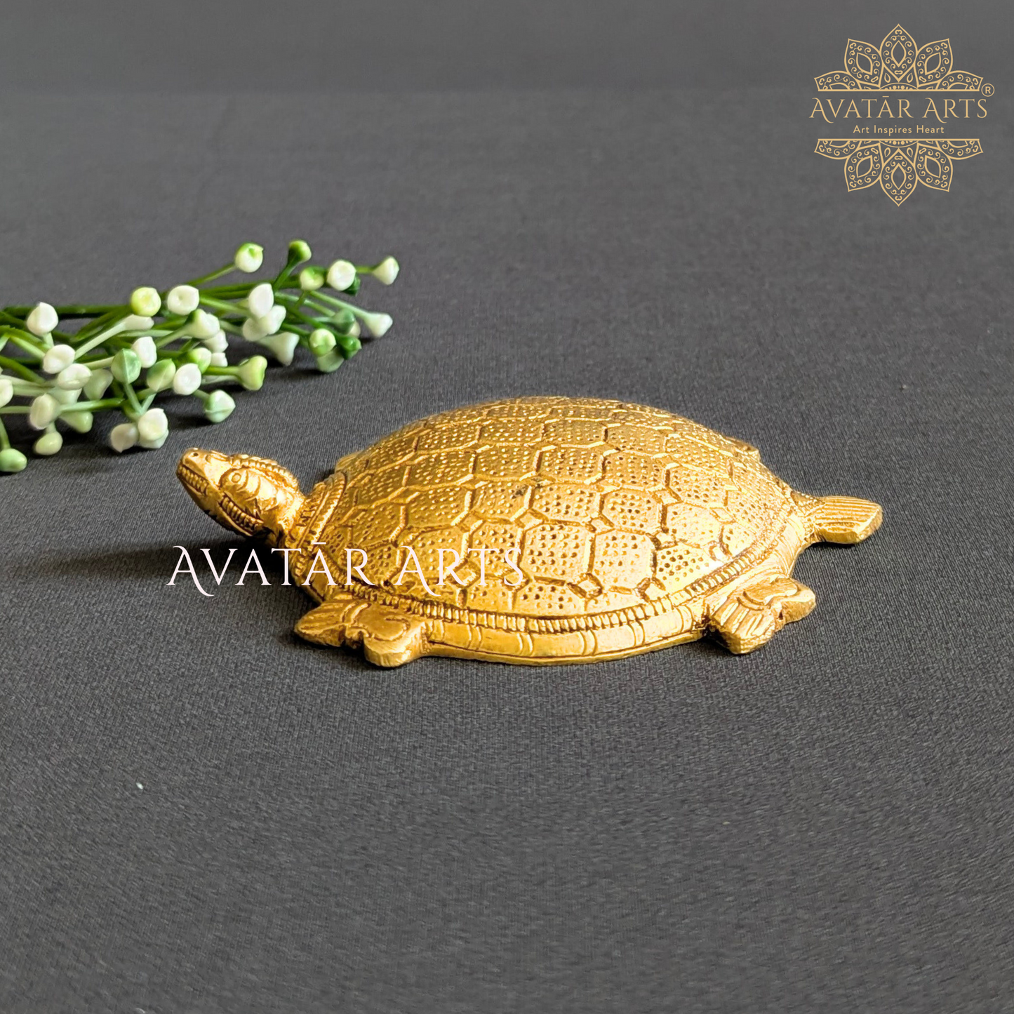 Brass Tortoise