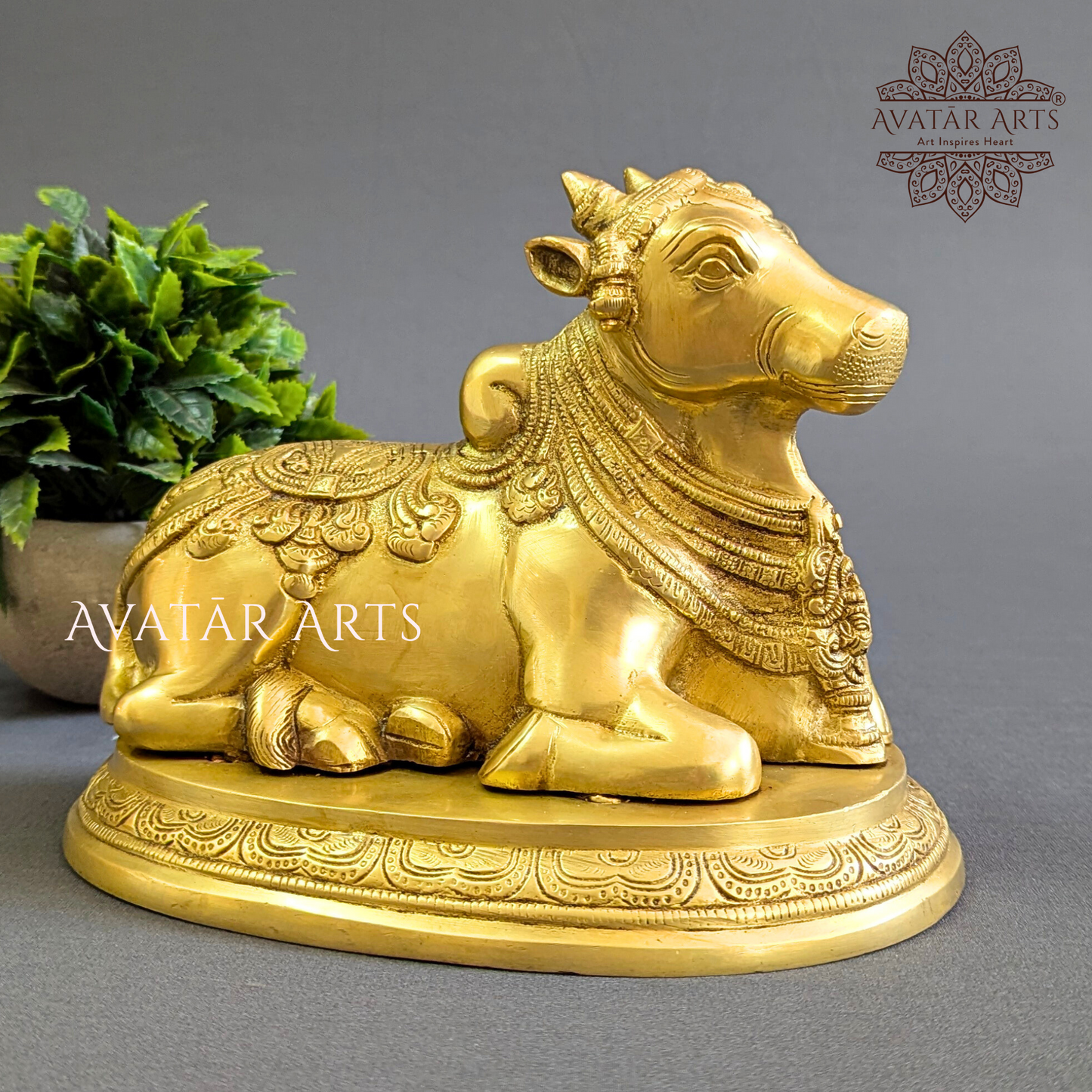 Brass Nandi