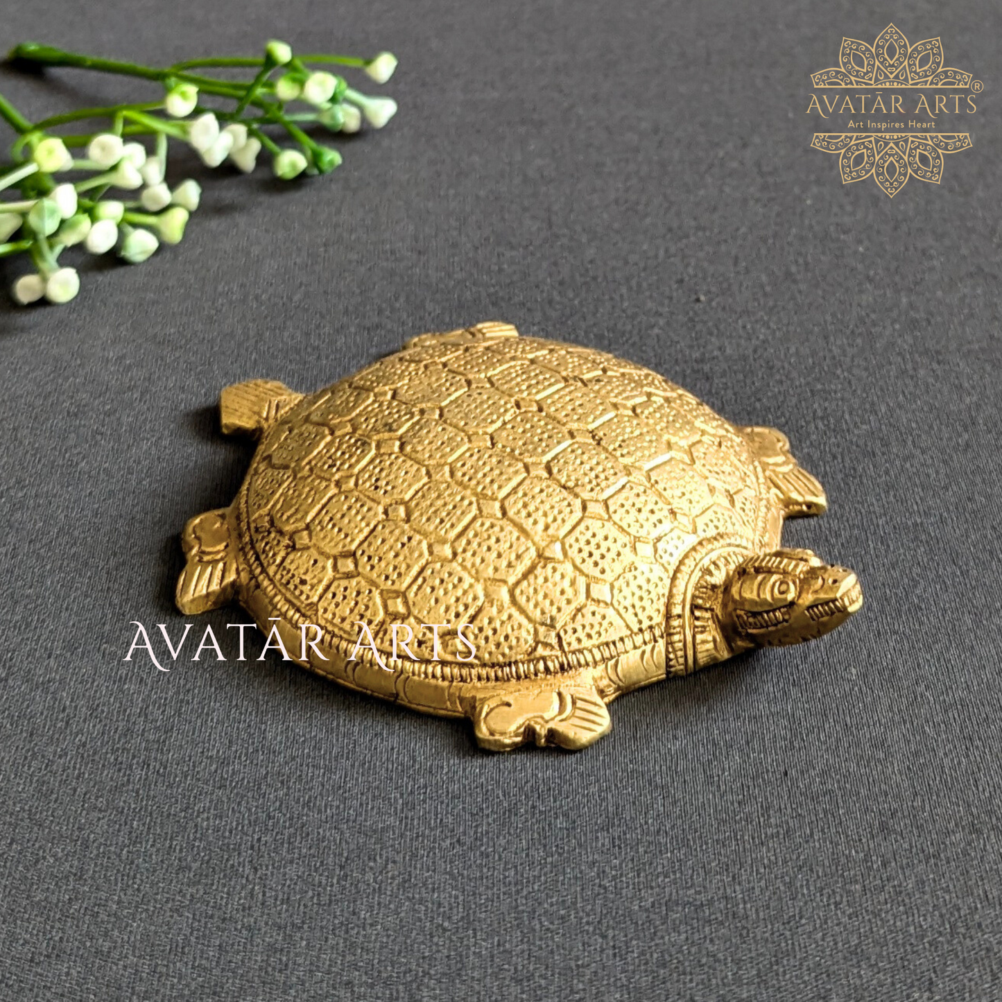 Brass Tortoise