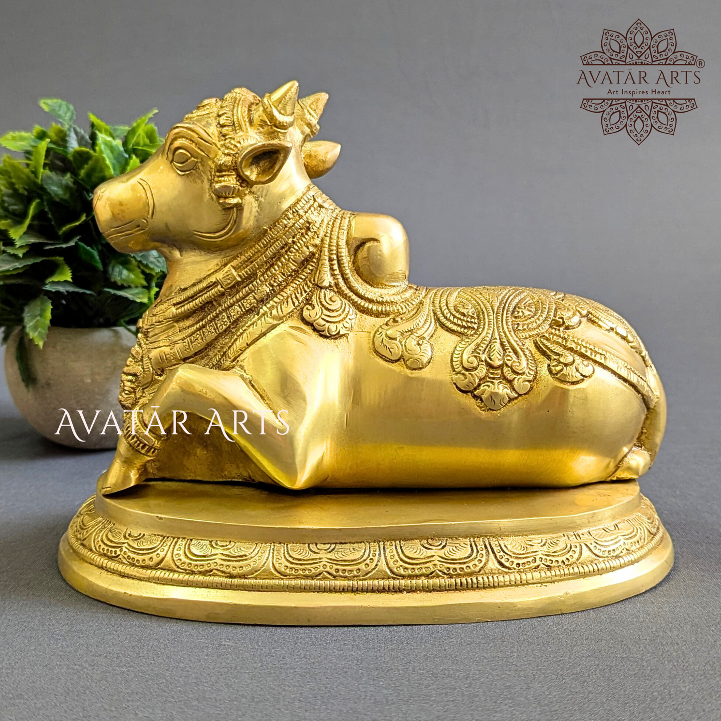 Brass Nandi