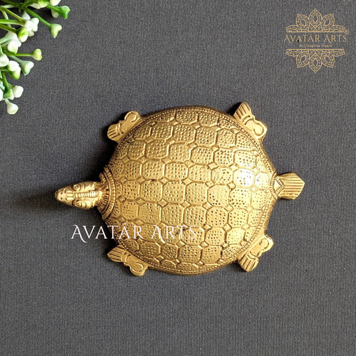 Brass Tortoise