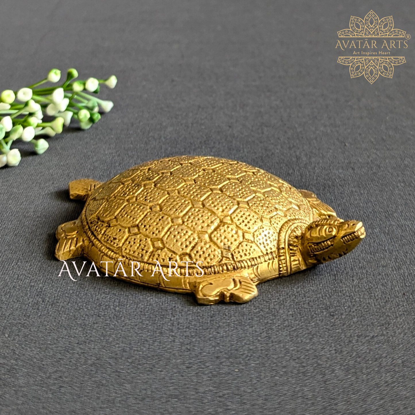 Brass Tortoise