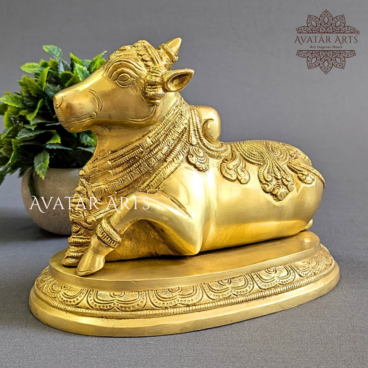 Brass Nandi