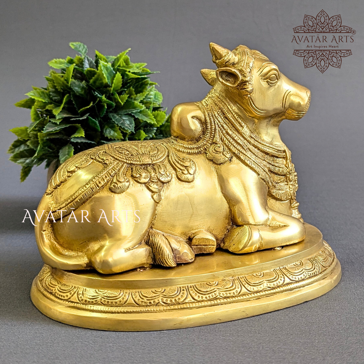 Brass Nandi