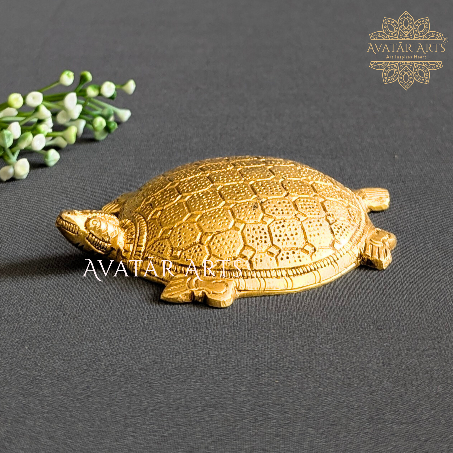 Brass Tortoise