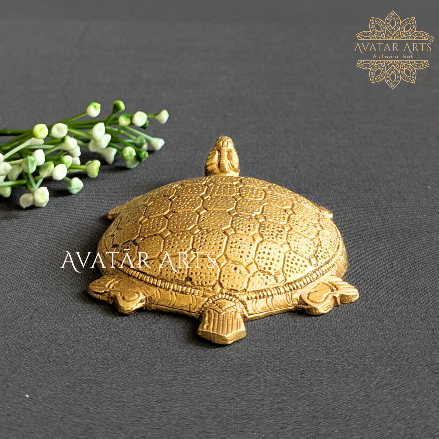 Brass Tortoise