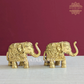 Brass Uptrunk Elephant Pair