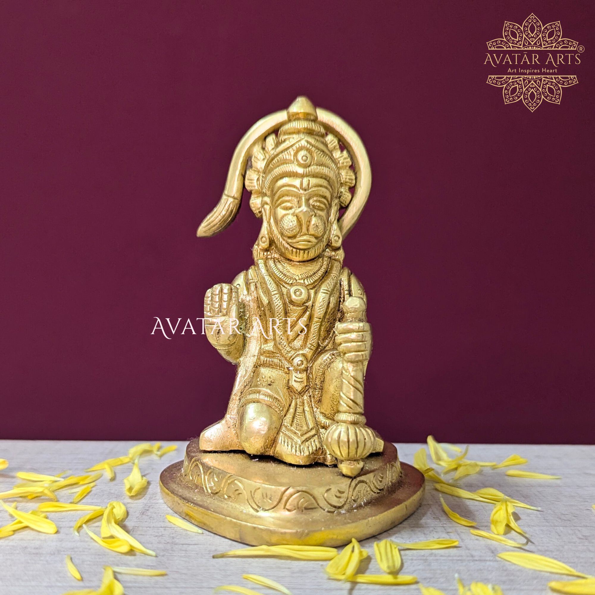 Lord Hanuman Blessing