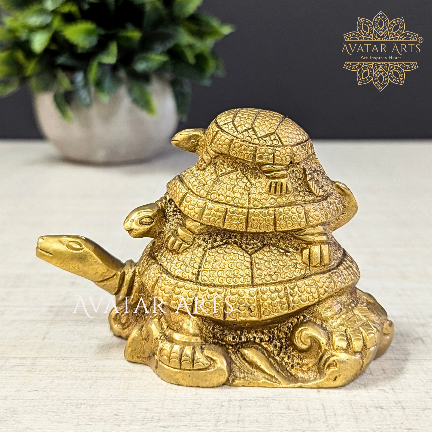 Fengshui Tortoise Family