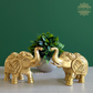 Uptrunk Elephant Pair