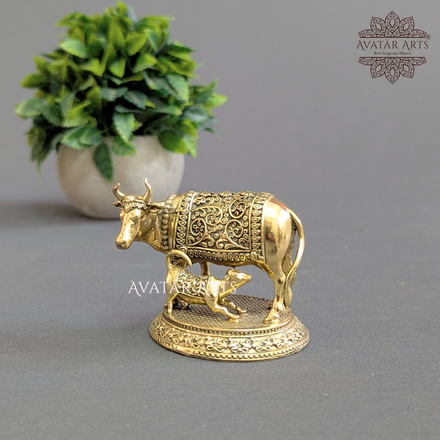 Kamdhenu Cow with her Calf