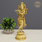 Brass Lord Krishna Statue