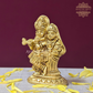 Brass Shree Radha Krishna