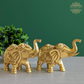 Uptrunk Elephant Pair