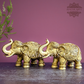 Up trunk Elephants for Home Decor