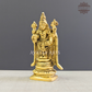 Thirupathi Balaji in Brass for Daily Pooja