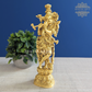 Brass Lord Krishna Statue