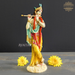 Lord Krishna