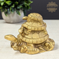 Fengshui Tortoise Family