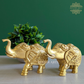 Uptrunk Elephant Pair