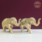 Brass Uptrunk Elephant Pairs