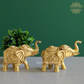 Uptrunk Elephant Pair