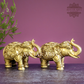 Up trunk Elephants for Home Decor