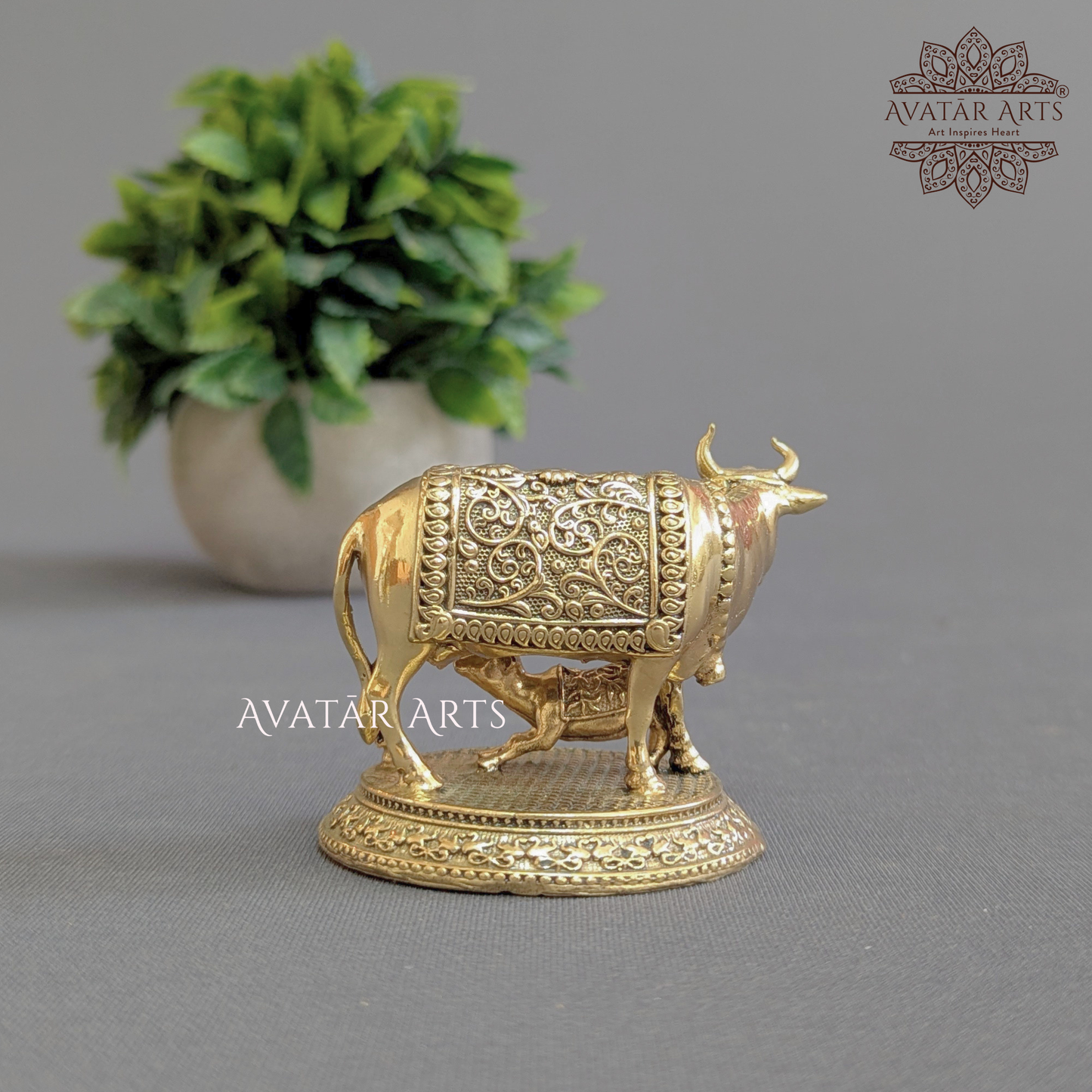 Kamdhenu Cow with her Calf