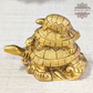 Fengshui Tortoise Family