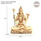 Lord Shiva