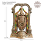 Balaji Venkateshwara Swamy