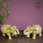 Up trunk Elephants for Home Decor