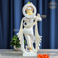 Lord Krishna for Home Temple