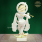 Lord Krishna Idol for daily pooja